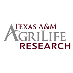 TAMU logo